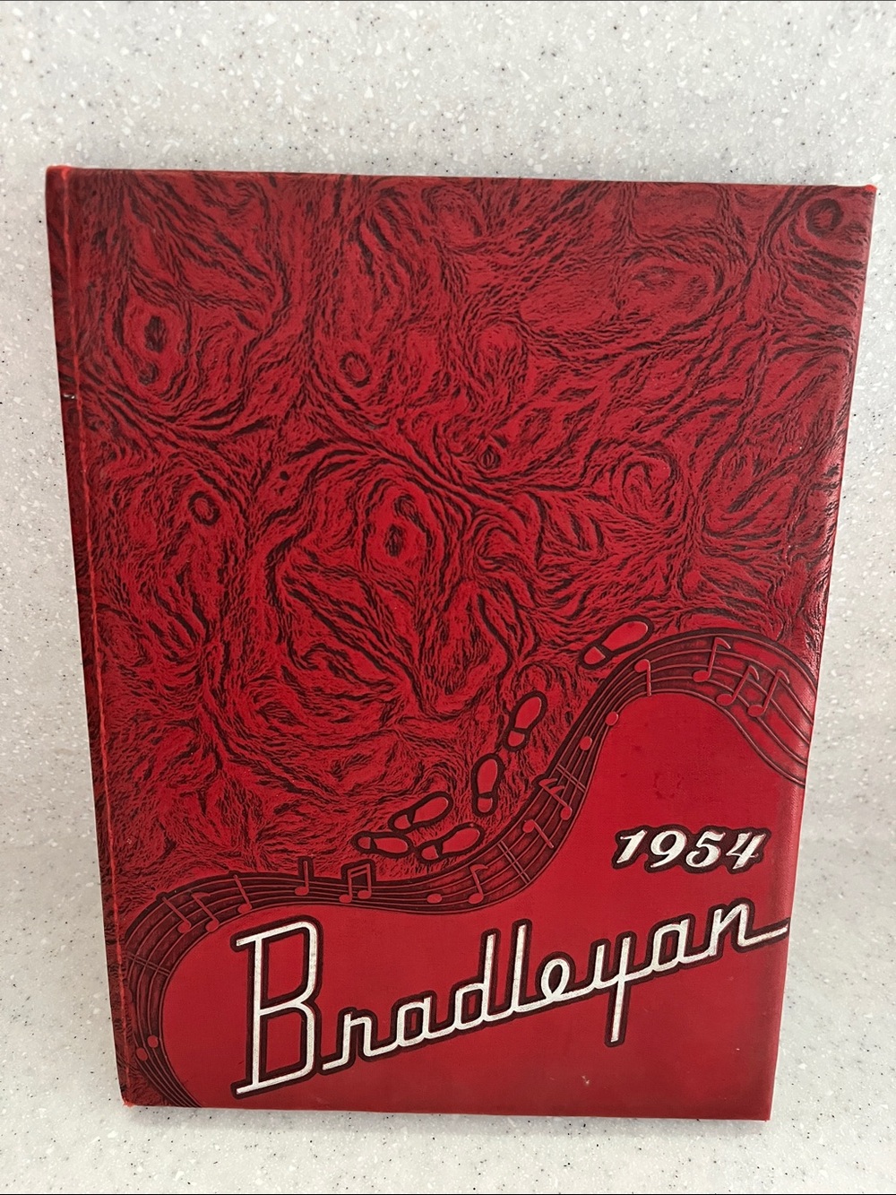 Vtg 1954 BRADLEY BOURBONNAIS IL High School YEARBOOK 50s Fashion Hairstyles +